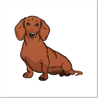 Red Dachshund Posters and Art